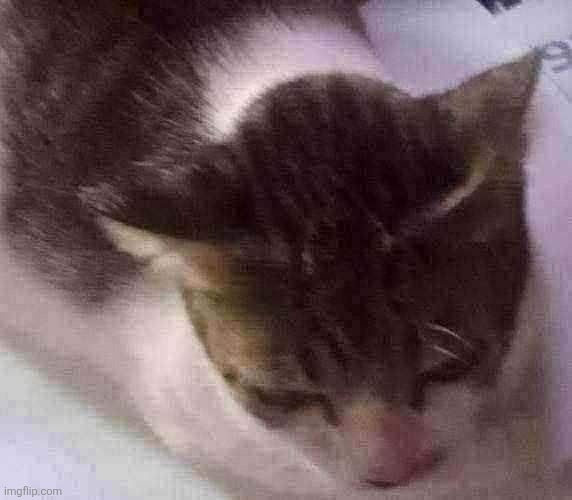 MIN | image tagged in ming mong | made w/ Imgflip meme maker