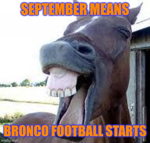 horse happy | SEPTEMBER MEANS; BRONCO FOOTBALL STARTS | image tagged in horse happy,memes,denver broncos | made w/ Imgflip meme maker
