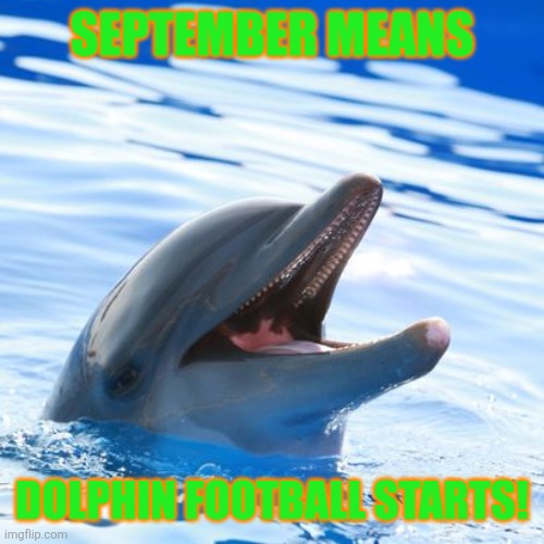 Go dolphins! | SEPTEMBER MEANS; DOLPHIN FOOTBALL STARTS! | image tagged in dolphin ayy lmao,miami,miami dolphins | made w/ Imgflip meme maker