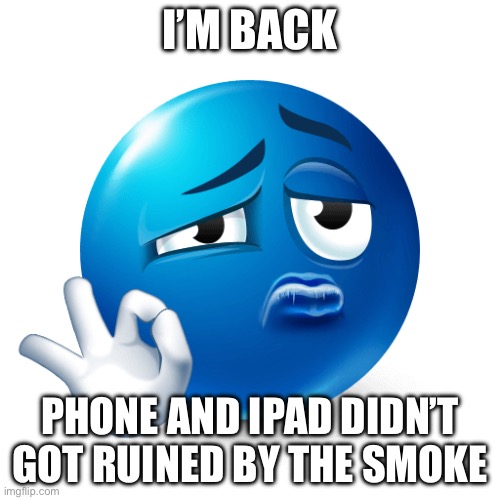 Blue emoji ok sign | I’M BACK; PHONE AND IPAD DIDN’T GOT RUINED BY THE SMOKE | image tagged in blue emoji ok sign | made w/ Imgflip meme maker