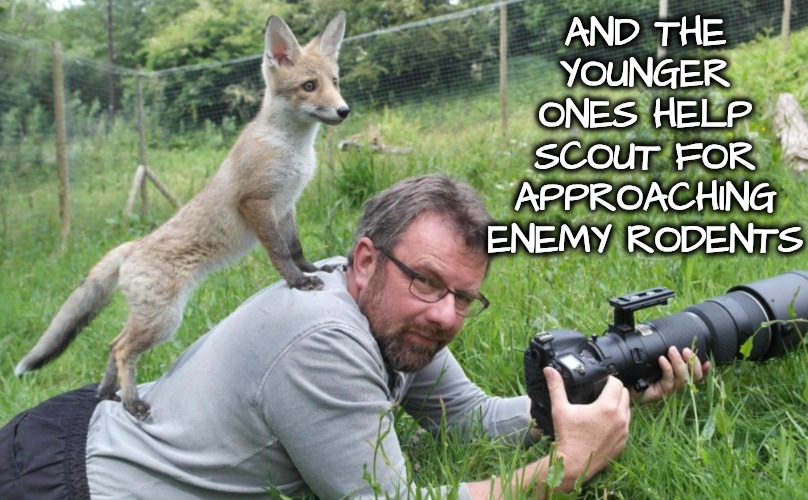 AND THE YOUNGER ONES HELP SCOUT FOR APPROACHING ENEMY RODENTS | made w/ Imgflip meme maker
