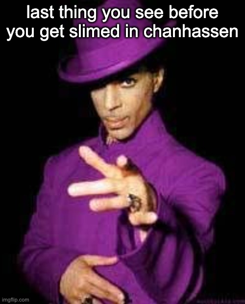 Don't want to bathe in the purple rain this time | last thing you see before you get slimed in chanhassen | image tagged in prince rogers nelson | made w/ Imgflip meme maker