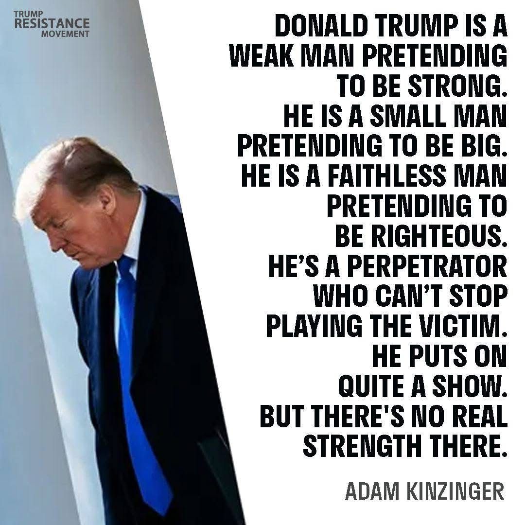Adam Kinzinger on Trump Resistance Blank Meme Template