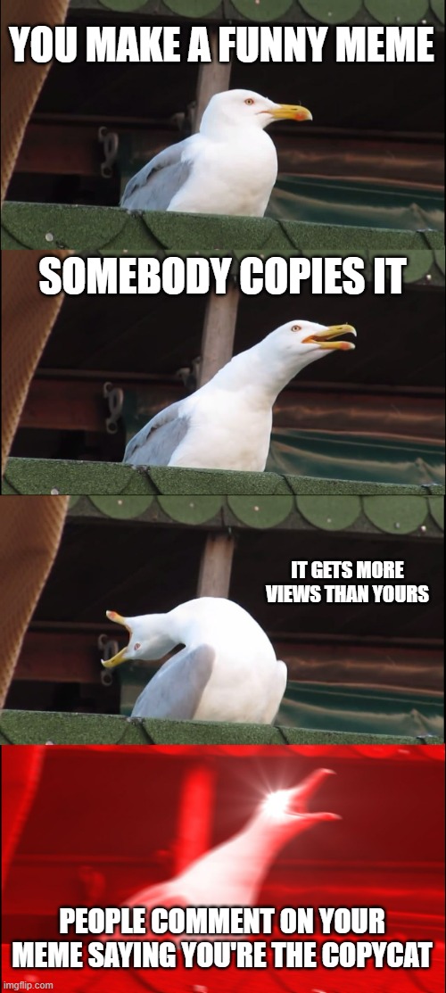 Inhaling Seagull | YOU MAKE A FUNNY MEME; SOMEBODY COPIES IT; IT GETS MORE VIEWS THAN YOURS; PEOPLE COMMENT ON YOUR MEME SAYING YOU'RE THE COPYCAT | image tagged in memes,inhaling seagull | made w/ Imgflip meme maker