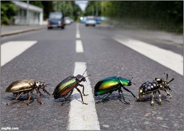 If You Know, You Know ! | image tagged in if you know you know,beetles | made w/ Imgflip meme maker