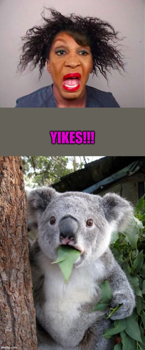 Knock it of Maxine you're scaring the Bear | YIKES!!! | image tagged in maxine waters,memes,surprised koala | made w/ Imgflip meme maker
