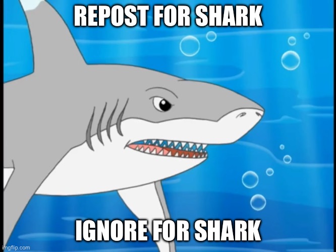 YOU DON’T GET A CHOICE HAHAHAHAHAHA | REPOST FOR SHARK; IGNORE FOR SHARK | image tagged in shark,repost,ignore,bottom text,visible confusion,confused screaming | made w/ Imgflip meme maker