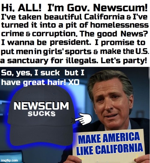 Finally, Some Honesty! | MAKE AMERICA
LIKE CALIFORNIA | image tagged in vince vance,california,running for president,gavin,newsom,memes | made w/ Imgflip meme maker
