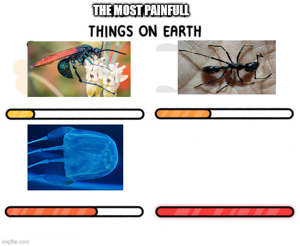 the most painful things on earth | THE MOST PAINFULL | image tagged in fastest thing possible | made w/ Imgflip meme maker