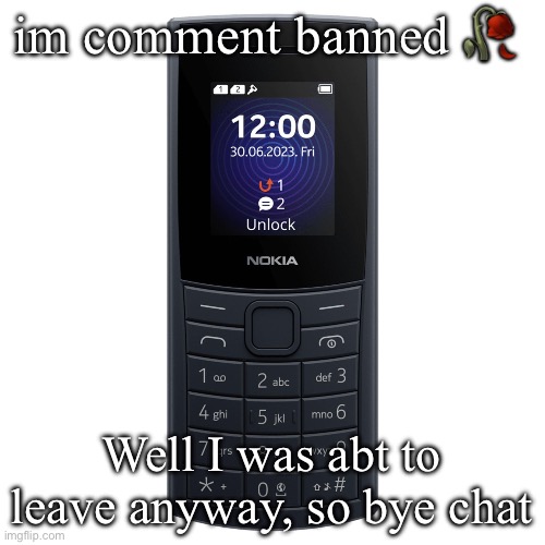nokia 110 4g | im comment banned 🥀; Well I was abt to leave anyway, so bye chat | image tagged in nokia 110 4g | made w/ Imgflip meme maker