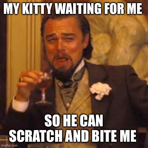 That kitty waiting! | MY KITTY WAITING FOR ME; SO HE CAN SCRATCH AND BITE ME | image tagged in memes,laughing leo | made w/ Imgflip meme maker