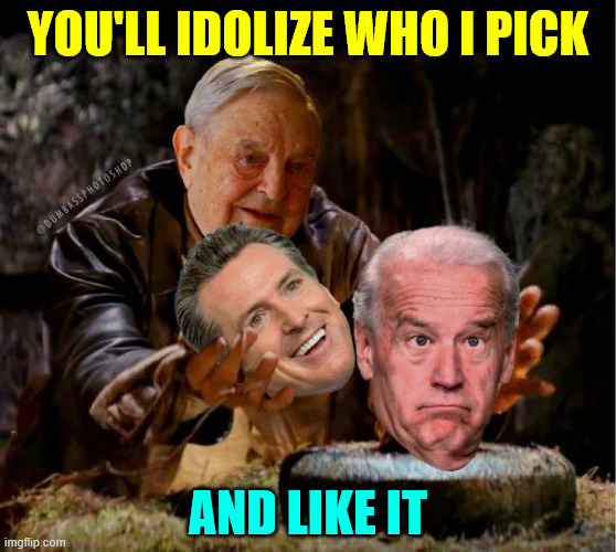 Soros puppets | YOU'LL IDOLIZE WHO I PICK AND LIKE IT | image tagged in democrats,soros puppets | made w/ Imgflip meme maker