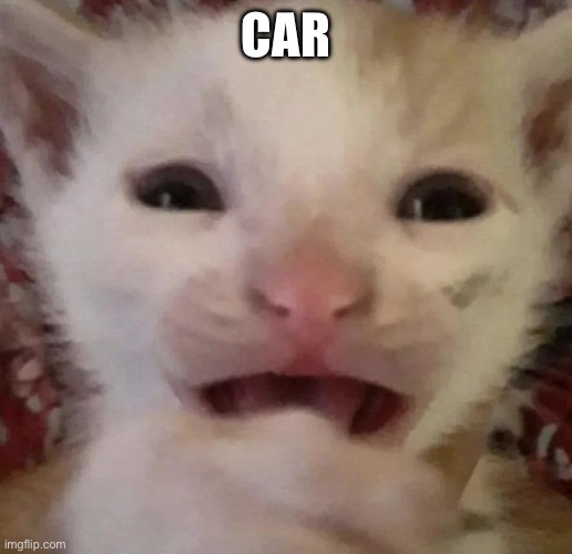 . | CAR | made w/ Imgflip meme maker