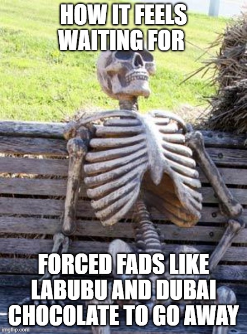 Waiting Skeleton | HOW IT FEELS WAITING FOR; FORCED FADS LIKE LABUBU AND DUBAI CHOCOLATE TO GO AWAY | image tagged in memes,waiting skeleton | made w/ Imgflip meme maker