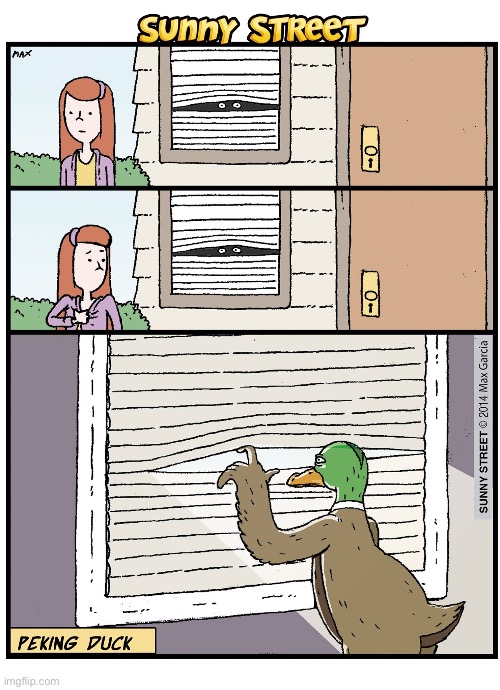 image tagged in comics,sunny street,peking duck | made w/ Imgflip meme maker