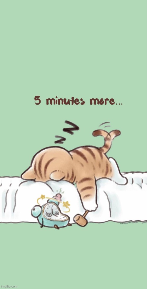 More like 5 hours more… | image tagged in cats,comics/cartoons,sleeping,5 minutes more | made w/ Imgflip meme maker