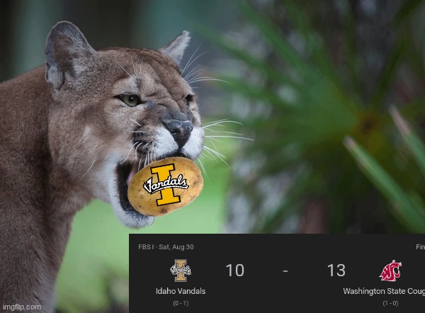 WSU Idaho meme | image tagged in memes,college football,football,sports,idaho,funny memes | made w/ Imgflip meme maker