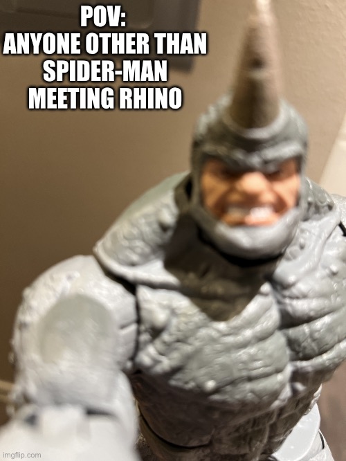 Rhino | POV: 
ANYONE OTHER THAN SPIDER-MAN MEETING RHINO | image tagged in rhino | made w/ Imgflip meme maker