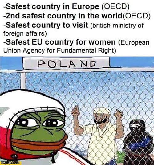 image tagged in funny,pepe the frog,poland,fence aka border wall | made w/ Imgflip meme maker