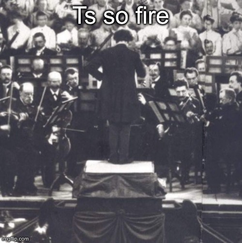 Mahler | Ts so fire | image tagged in mahler | made w/ Imgflip meme maker