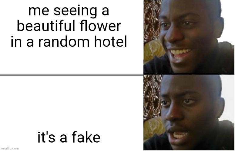 i hate it when i see fake lilac flowers | me seeing a beautiful flower in a random hotel; it's a fake | image tagged in disappointed black guy | made w/ Imgflip meme maker