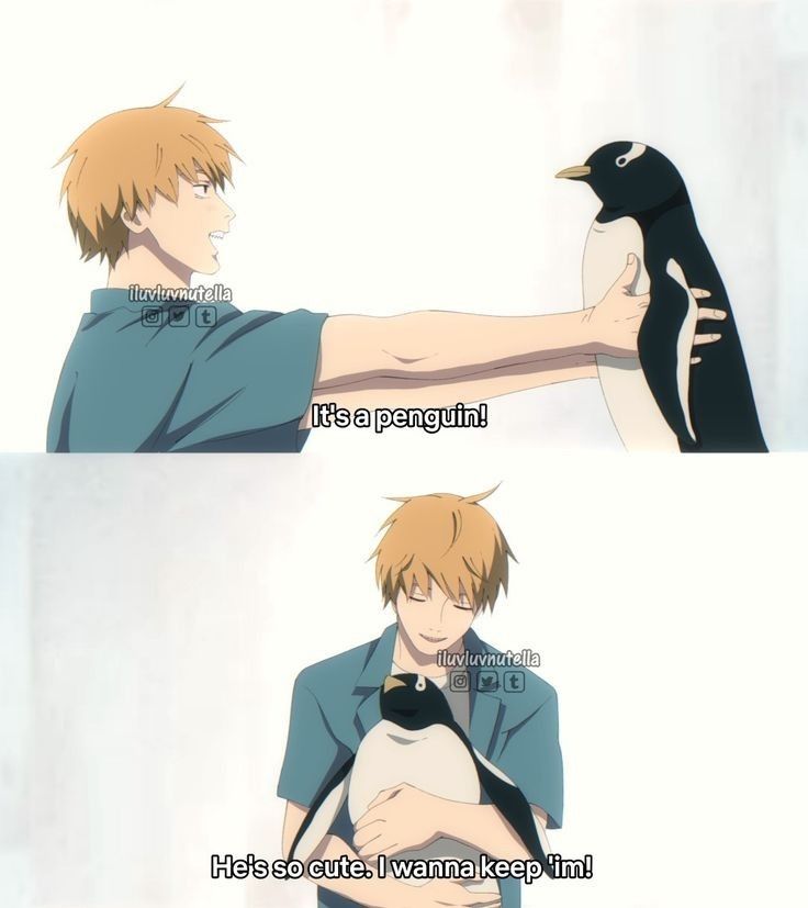 Penguin Blank Meme Template
