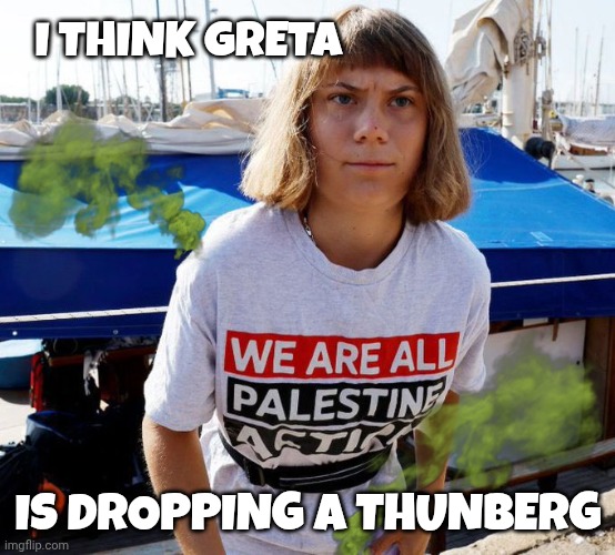 Greta thunberg meme | I THINK GRETA; IS DROPPING A THUNBERG | image tagged in greta thunberg | made w/ Imgflip meme maker