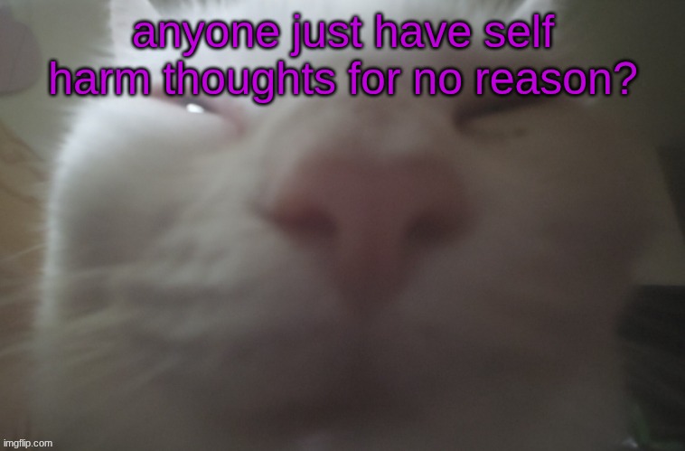 am I going insane? | anyone just have self harm thoughts for no reason? | image tagged in whuh | made w/ Imgflip meme maker