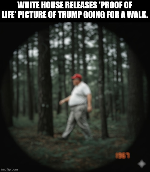 WHITE HOUSE RELEASES 'PROOF OF LIFE' PICTURE OF TRUMP GOING FOR A WALK. | made w/ Imgflip meme maker
