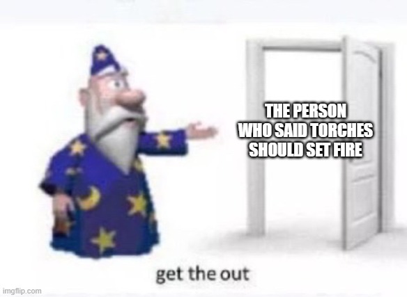 get the out | THE PERSON WHO SAID TORCHES SHOULD SET FIRE | image tagged in get the out | made w/ Imgflip meme maker