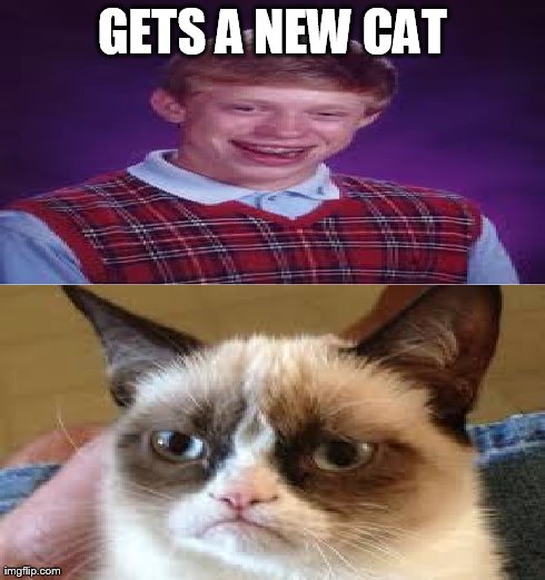 Bad Luck Brian gets a Cat | GETS A NEW CAT | image tagged in bad luck brian | made w/ Imgflip meme maker