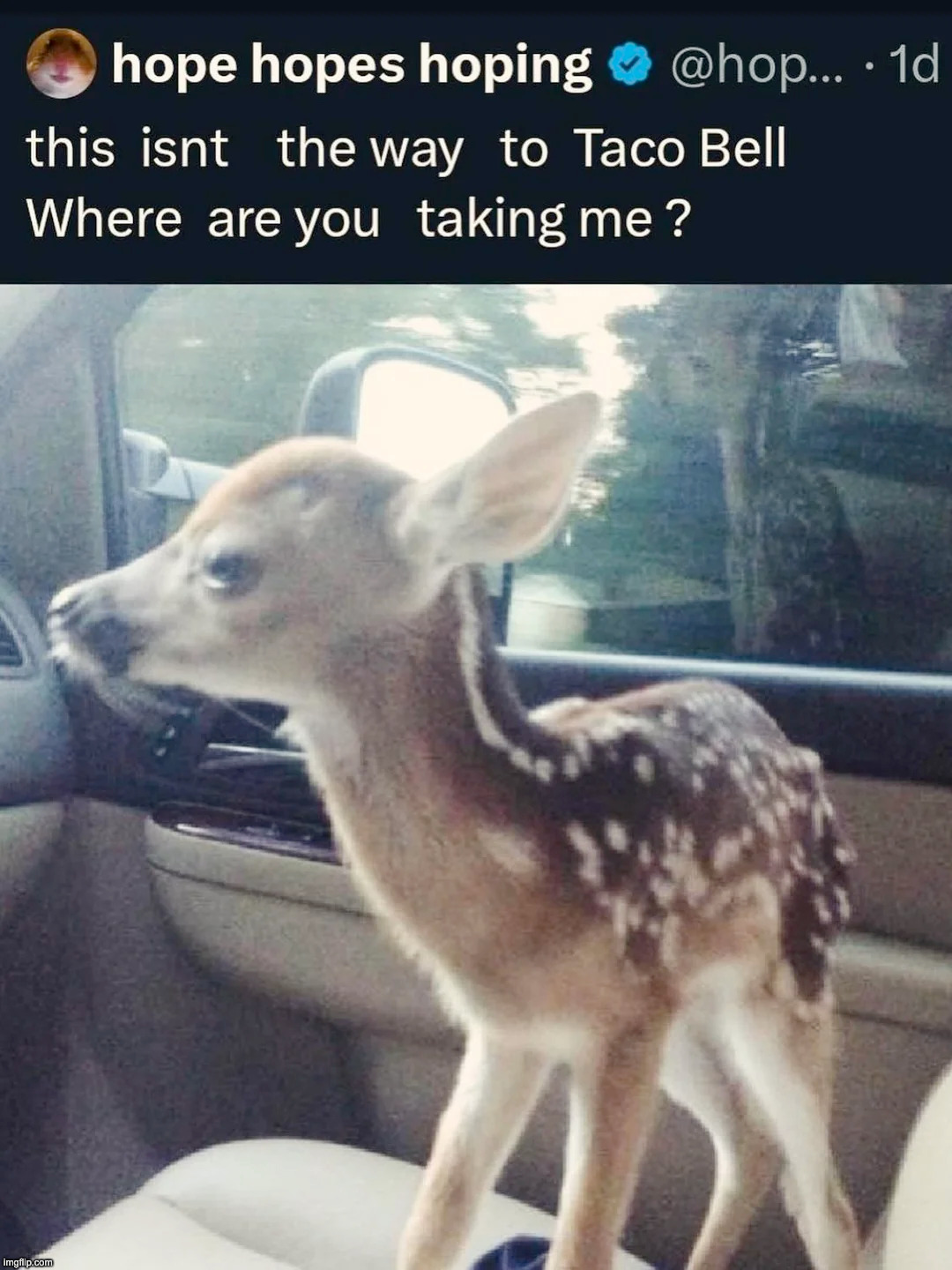 made w/ Imgflip meme maker