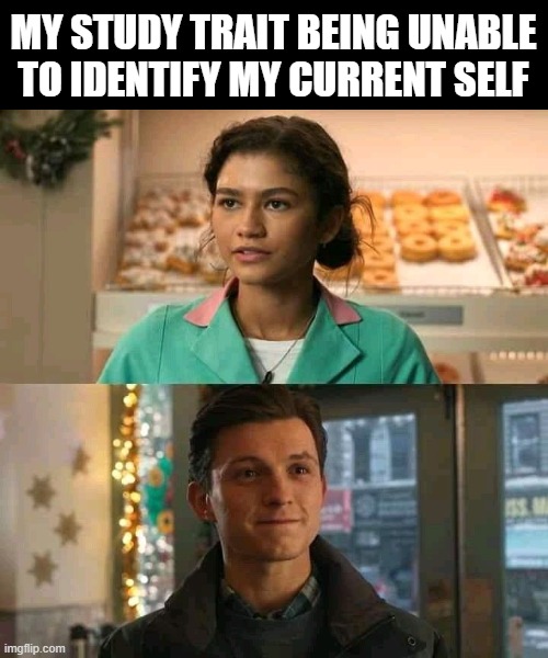 My Study Traits Being Unable to Understand My Self | MY STUDY TRAIT BEING UNABLE TO IDENTIFY MY CURRENT SELF | image tagged in sad,memes,spiderman,mj | made w/ Imgflip meme maker