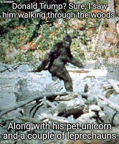 Bigfoot | Donald Trump? Sure, I saw him walking through the woods Along with his pet unicorn and a couple of leprechauns | image tagged in bigfoot | made w/ Imgflip meme maker