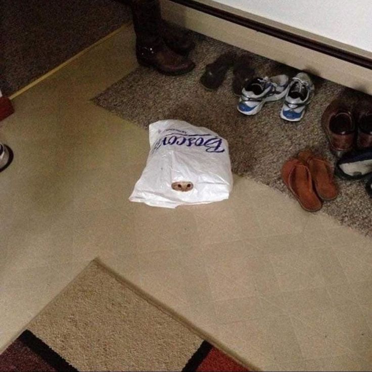 Chrisjoines1 Blank Meme Template