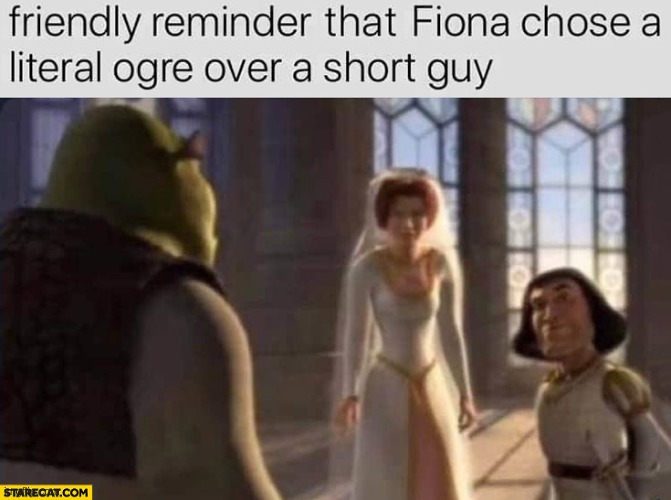 image tagged in funny,shrek,short | made w/ Imgflip meme maker