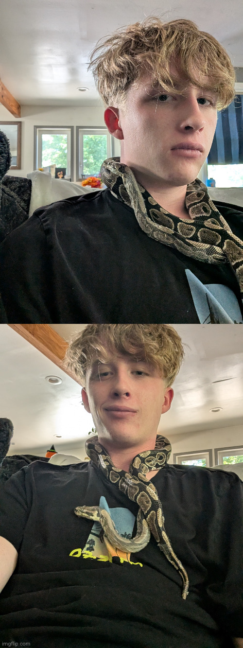 found a snake in my back yard | image tagged in snake,snakes,snakes on a plane,warning snake,skeptical snake | made w/ Imgflip meme maker