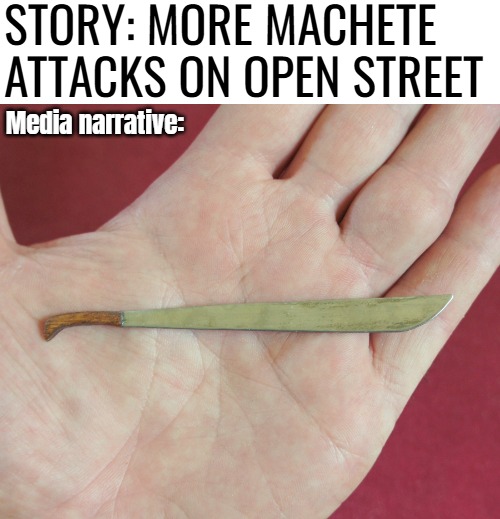 STORY: MORE MACHETE ATTACKS ON OPEN STREET; Media narrative: | image tagged in politics,immigration,crime | made w/ Imgflip meme maker