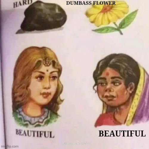 there I fixed it, god made no one ugly | DUMBASS FLOWER; BEAUTIFUL | made w/ Imgflip meme maker