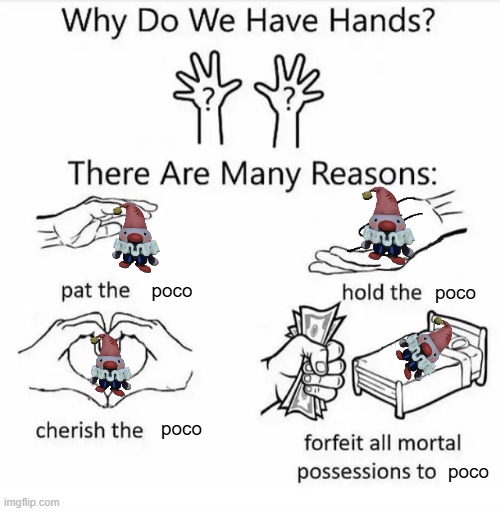 Why do we have hands? (all blank) | poco; poco; poco; poco | image tagged in why do we have hands all blank,poco | made w/ Imgflip meme maker