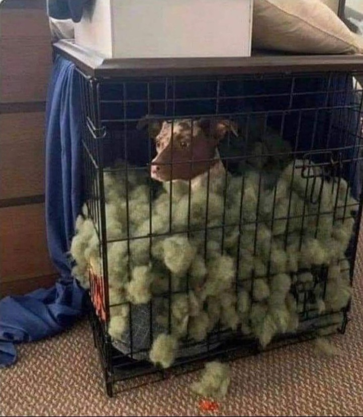 Chrisjoines1 Blank Meme Template