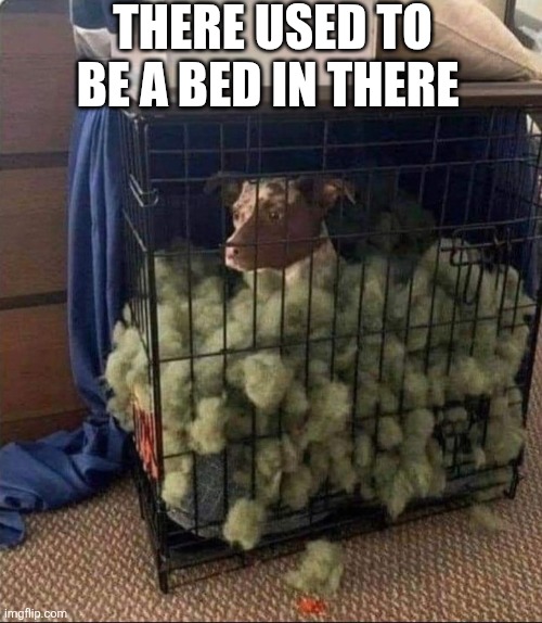 There Used To Be A Bed In There | THERE USED TO BE A BED IN THERE | image tagged in chrisjoines1 | made w/ Imgflip meme maker