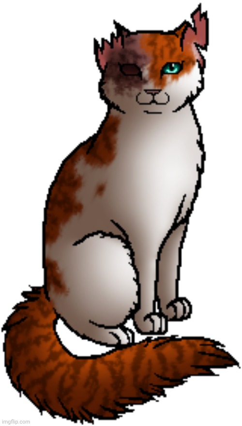 BrightHeart | image tagged in brightheart | made w/ Imgflip meme maker
