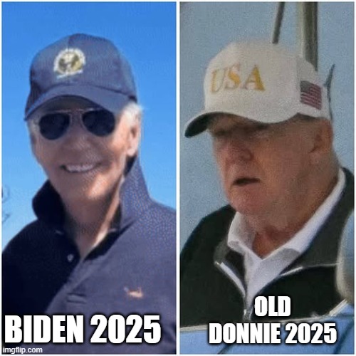 Senile D | OLD DONNIE 2025; BIDEN 2025 | image tagged in donald trump,trump,maga,nevertrump,conservative,trump supporters | made w/ Imgflip meme maker