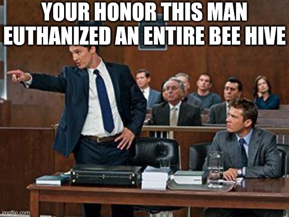 lawyer | YOUR HONOR THIS MAN EUTHANIZED AN ENTIRE BEE HIVE | image tagged in lawyer | made w/ Imgflip meme maker