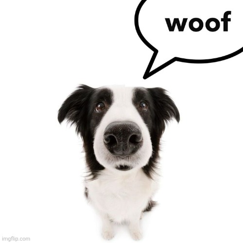 Dog jumpscare | made w/ Imgflip meme maker