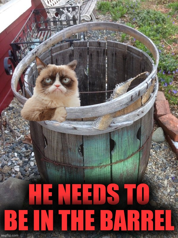 Grumpy Cat Barrel | HE NEEDS TO BE IN THE BARREL | image tagged in grumpy cat barrel | made w/ Imgflip meme maker