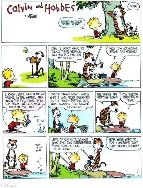 Going down to the fishing hole… | image tagged in calvin and hobbes,comics,fishing,baiting a hook,worms,icky | made w/ Imgflip meme maker