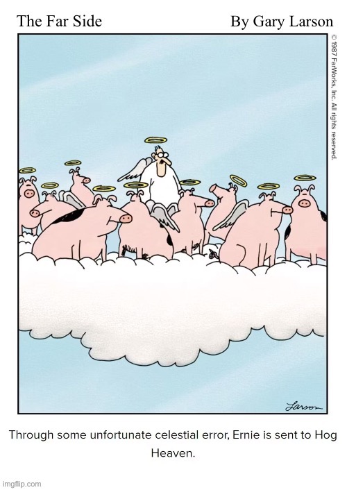 It looks like he’d fit right in… | image tagged in the far side,comics,hog heaven,wrong place | made w/ Imgflip meme maker