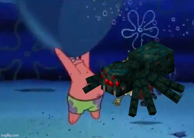 Spiders! | image tagged in spiders | made w/ Imgflip meme maker
